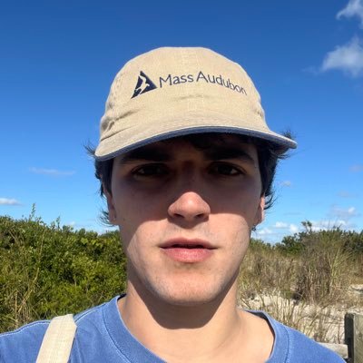 lucarawr's profile picture. can u post