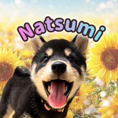 日本犬・爬虫類・両生類・旦那が好きな人🫡 ✨////////////////柴犬・シリケンイモリ・コーンスネーク・ボールパイソン・ニホンヤモリ・イエアメガエル・クレステッドゲッコー・レオパードゲッコー・ツノガエルの飼い主。YouTubeは超気ままにupしてます😊お暇な時にぜひ🎞️⋆*基本Threadsに出没😇