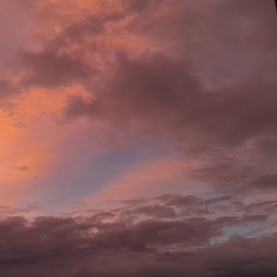 Mary5039116's profile picture. 