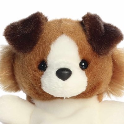plutoさんのプロフィール画像