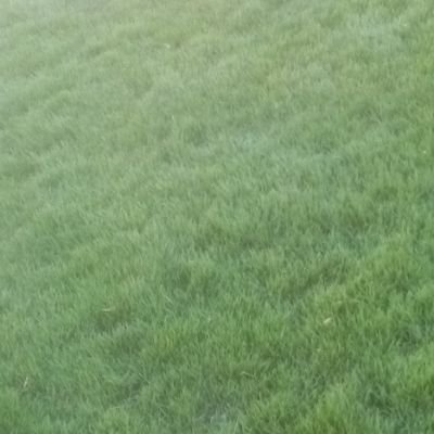 ahma87068's profile picture. 