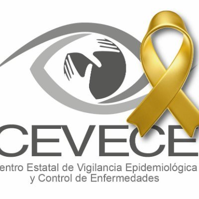 Dr en Alta Dirección, Mtro en Adm de Hosp y Salud Publica, Esp en Salud Publica, CEVECE Secretaria de Salud Dir DERS, Jefe Dpto UAEMex, Docente CUI, Siglo XXI.