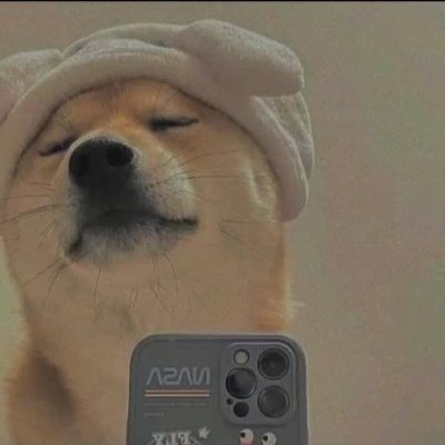 phan_hieu87469's profile picture. 