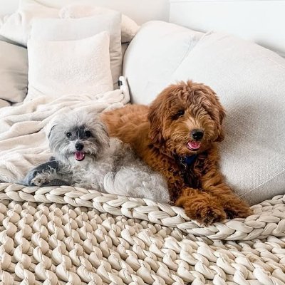 byaex98752679's profile picture. 