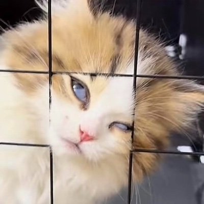 Stone5288's profile picture. #刺青 #台北 #台灣 #幹文 #交友 #雙北 #中永和 #中山區 #幹話王  #極度反差 #臀控 #刺青控