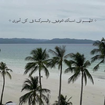 O7iiin's profile picture. Information Science | KSU 👩🏼‍💻.