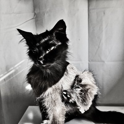 elaineisaname's profile picture. 