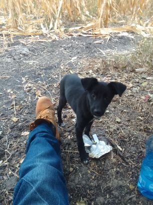 dungiman192727's profile picture. 