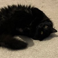 Dumdum Diary (@dumdum_diary) 's Twitter Profile Photo