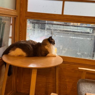 yuanqingbin0's profile picture. nice！