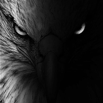 Danverse44's profile picture. 