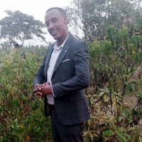 kebede Efa (@kebedeefa160206) 's Twitter Profile