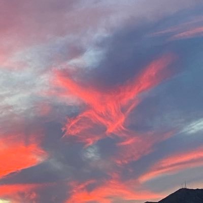 AngelChairz9da's profile picture. 