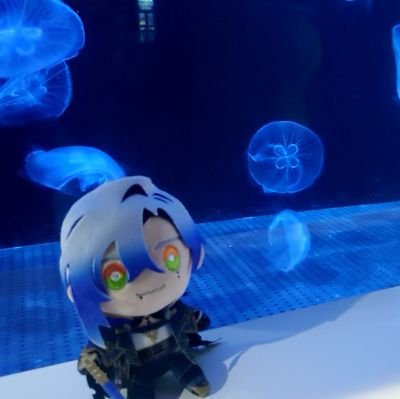 ちょろみやしーちゃんさんのプロフィール画像