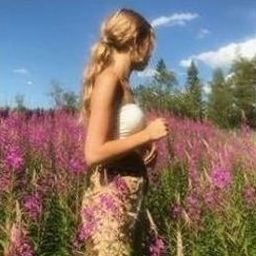 Srigal274231's profile picture. 