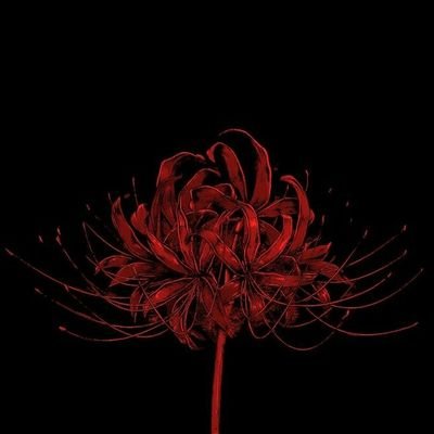 oranousgaya's profile picture. 