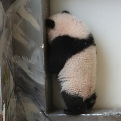 IEq1_'s profile picture. 