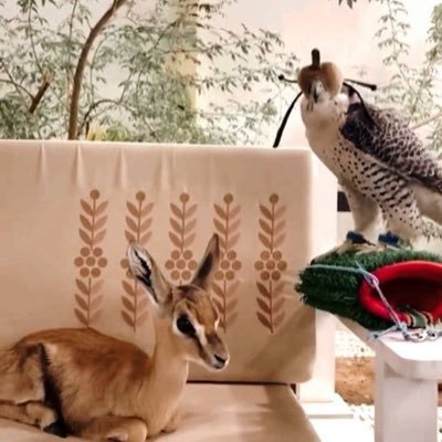 _we28's profile picture. 