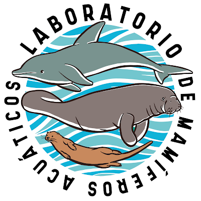 Laboratorio de @ecosurmx dedicado al estudio y conservación de mamíferos acuáticos y semi-acuáticos.