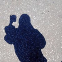 علياء (@alyaa1032005) Twitter profile photo