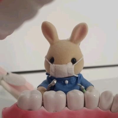 estudante de odontologia e futura residente de CTBMF