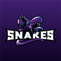 Snakes 🐍 (@snakescs2) 's Twitter Profile