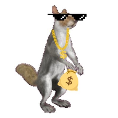 spinitsol's profile picture. spin → skin
Press. Spin. Repeat.