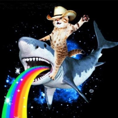 aibsbsva's profile picture. 