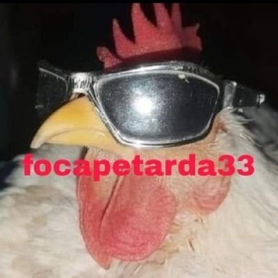 el gobierno tiene sarna y yo aqui abajo un arma