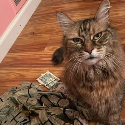 bswtw's profile picture. .