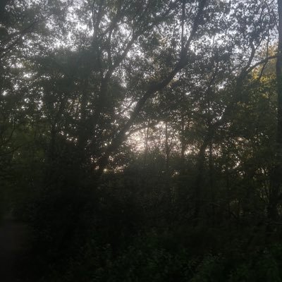 solice_moon's profile picture. welcome to the freak show-nsfw/mdni