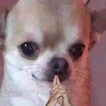 MendoozaJo57508's profile picture. Hmmm soy el creador de Abego02 entonces soy la misma persona en la otra cuenta de una entonces soy el dibujante y creador también chismoso