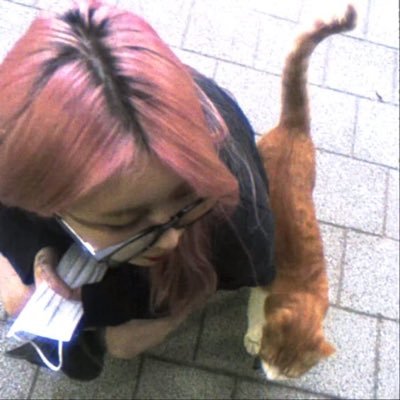 mangolololol's profile picture. nomnomnom + stu(dying)