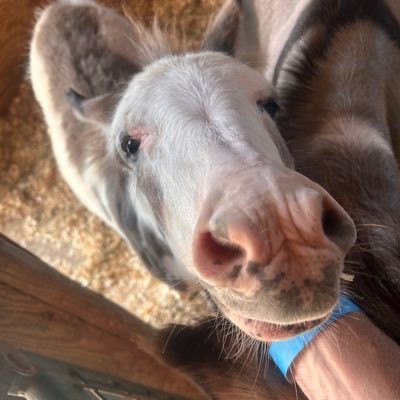 starr67864's profile picture. 