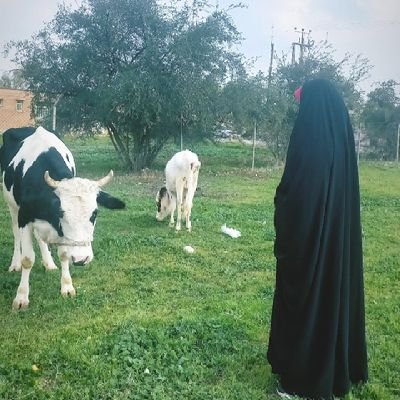 متاهل و متعهد ، دانشجوی رشته هنرهای تجسمی🎭
پیرو مذهب شیعه💚و امر ولایت فقیه💙
تا پای جان ، برای ایران🇮🇷