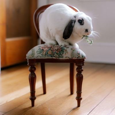 eaton_rodo21991's profile picture.