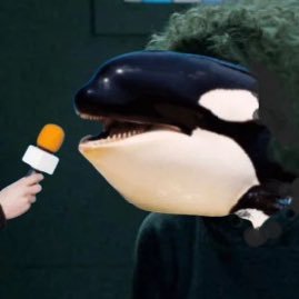 the_laurenation's profile picture. animal of the exploratory nature.