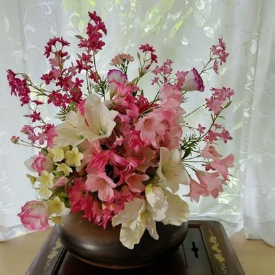 tnm51519's profile picture. 動物､自然が大好き💕
夫と２人暮らし、
現在、レオという９才の
愛猫がいます。🐱
心身共の健康と人間関係を大切にしたいです🍀
信教の自由を応援しています📢