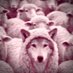 Human Geopolitics (@humangopolitics) Twitter profile photo Human Geopolitics (@humangopolitics) Twitter profile photo