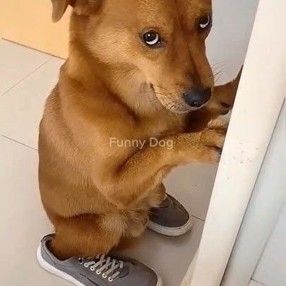 AlphavilleOuro's profile picture. 🤙🏼