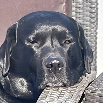 Sand448844's profile picture. 