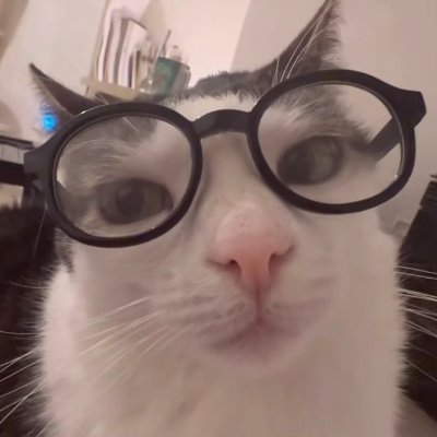 StarCookieBased's profile picture. -Caviar  
-Estudiante de Computer Science
-Gatitos
 -Indie / jpop music lover