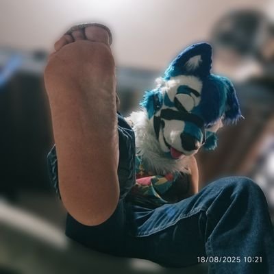 Wondu07Elli's profile picture. 24/Pansexual/Soltero/ Genero fluido /Mexicano/CDMX/Furro sonidero