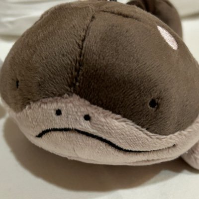zCiFWr8Mk872596's profile picture. 国民民主支持者です。フォローお好きにどうぞ！愛知に住んでます