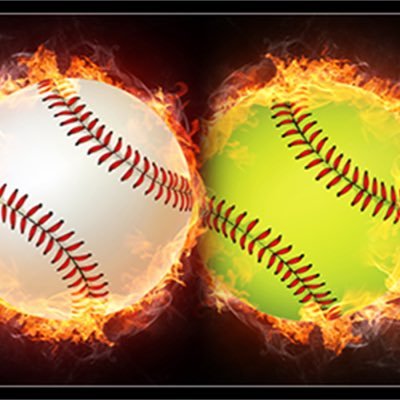 Ozzie baseball/softball Profile