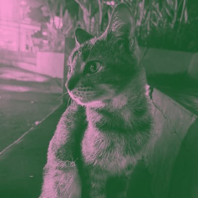 fiimuuu's profile picture. 