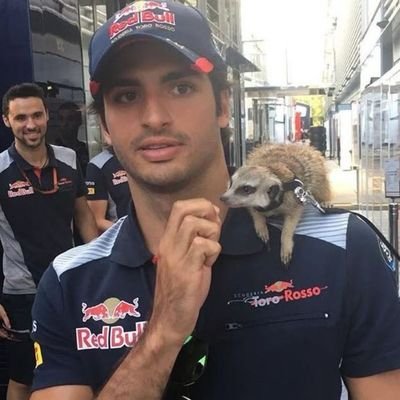 taylorbot55's profile picture. mi vida por la gorda