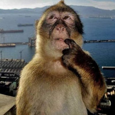 príncipe dos nanonichos e eterno coadjuvante das periferias