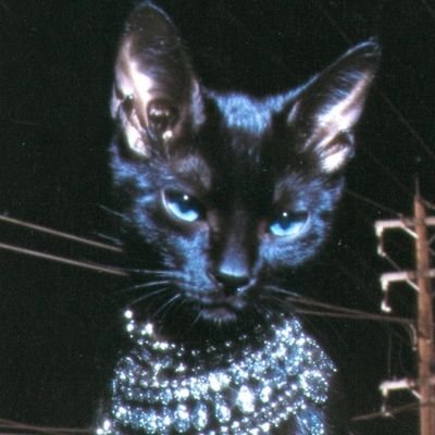 babyEsherman's profile picture. tentando entender esse lado aqui :)