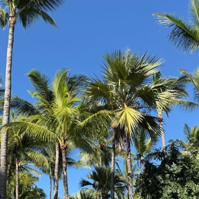 dabadde97969519's profile picture. 23 dms open for age-play, findom 💗✨